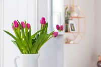 Images for Loughborough Road, , Kirkcaldy, KY1 3DA