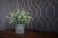Images for Ranfurly Gardens, Kirkcaldy, Kirkcaldy, KY2 6HT