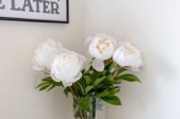 Images for Alexander Street , , East Wemyss, KY1 4QJ