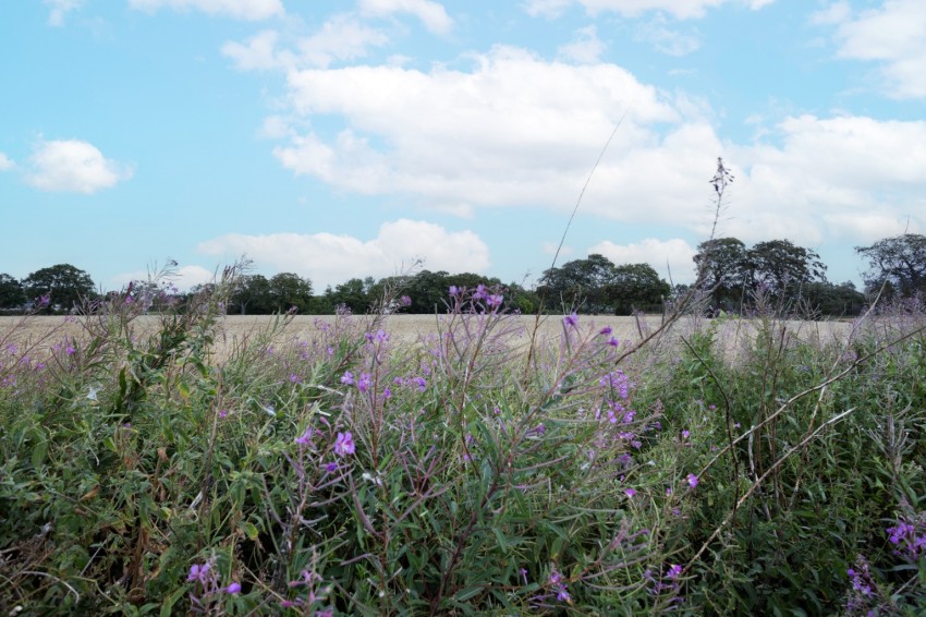 Images for Beech Avenue, Kirkcaldy, Kirkcaldy, KY1 4AT EAID:20 BID: