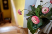 Images for High Street, , Leslie, KY6 3DQ