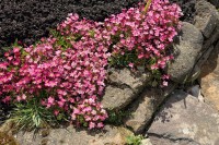 Images for Dallas Drive, Kirkcaldy, Kirkcaldy, KY2 6NE